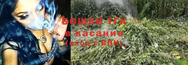 индика Абдулино