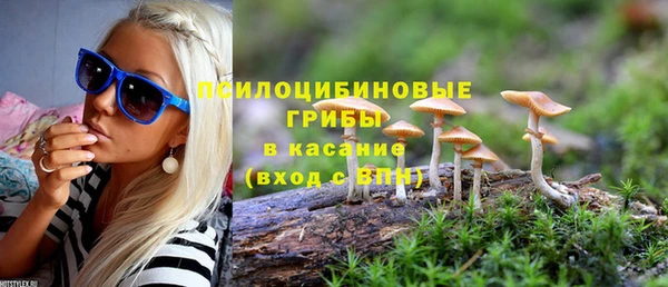 амф Алзамай