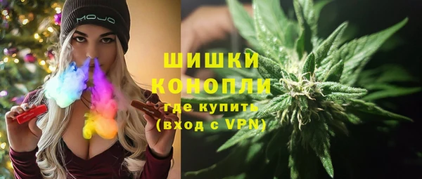 индика Абдулино