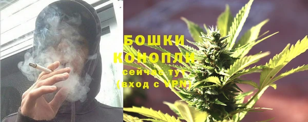 индика Абдулино